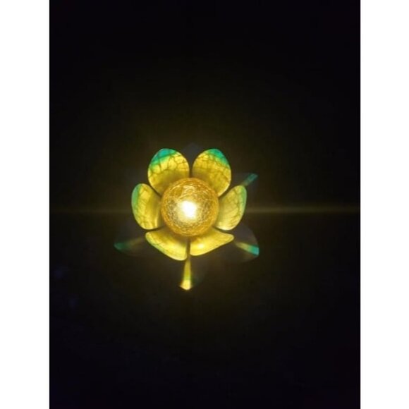 Solar Light Outdoor(2Pack) Art Crackle Globe Glass Lotus Decoration Solar LED